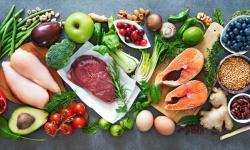 Alimenti e nutrizione