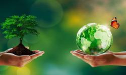 epidemiologia ambientale