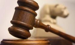 martelletto da giudice